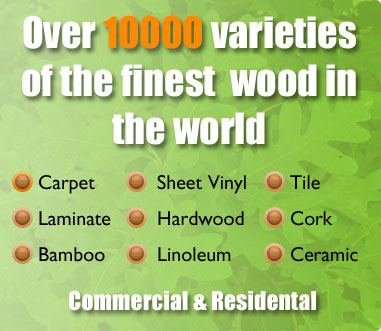 Over 10000 varieties of the finest wood in the world